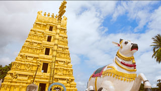 Seshachalam Forest: అద్భుతం.. శేషాచలంలో కలివి కోడి జాడ దొరికిందోచ్..