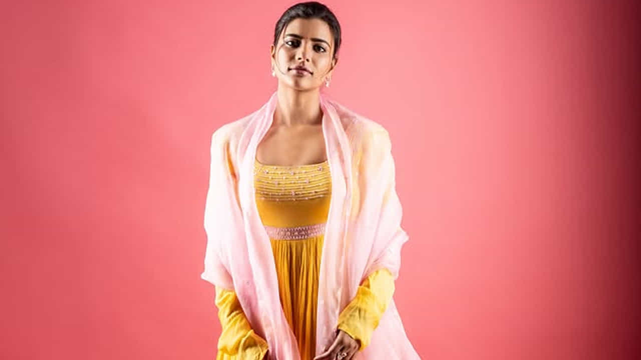 ఈ ఏడాది పండక్కి ప్రేక్షకుల ముందుకి వచ్చిన సంక్రాంతికి వస్తున్నాం సినిమాతో తెలుగులో మరో బ్లాక్ బస్టర్ అందుకుంది ఈ వయ్యారి. ప్రస్తుతం కరుప్పర్ నగరం, మోహన్ దాస్, తీయవర్ కులైగల్ నడుంగ అనే తమిళ సినిమాలతో పాటు ఉత్తరాఖండ అనే ఓ కన్నడ సినిమాలో నటిస్తుంది.