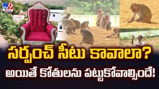 అద్భుతం.. శేషాచలంలో కలివి కోడి! దీని ప్రత్యేకతేంటో తెలుసా?