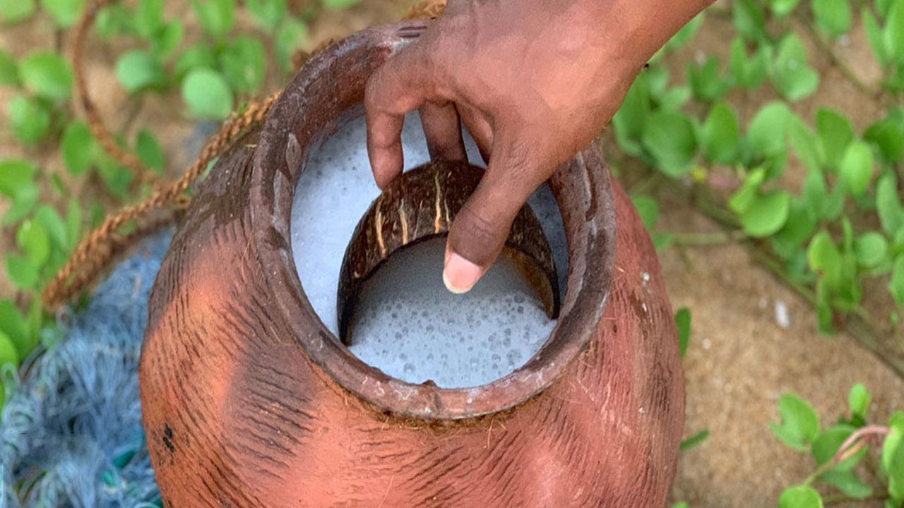 అయితే కొంత మంది మాత్రం దీనిని అల్కహాల్గా భావించడమే కాకుండా తాగడానికి భయపడిపోతుంటారు. కానీ తాటి కల్లు తాగడం వలన అనేక ఆరోగ్య ప్రయోజనాలు ఉన్నాయంటున్నారు నిపుణులు. అవి ఏవో ఇప్పుడు తెలుసుకుందాం.