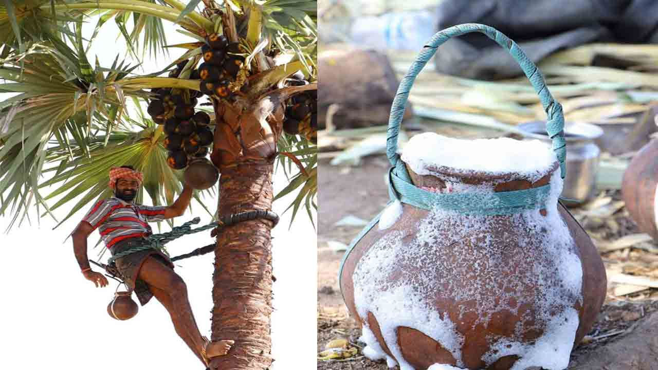 తాటికల్లులో విటమిన్లు, ఖనిజలవణాలు పుష్కలంగా ఉంటాయి. అంతేకాకుండా విటమిన్ సీ, బీ, ఐరన్ ,ప్రొటిన్స్ కూడా పుష్కలంగా ఉండటం వలన దీని వలన ఎలాంటి అనారోగ్య సమస్యలు దరి చేరవంట. మరీ ముఖ్యంగా రోగనిరోధక శక్తిని పెంచడంలో తాటి కల్లు కీలక పాత్ర పోషిస్తుందంటున్నారు నిపుణులు.