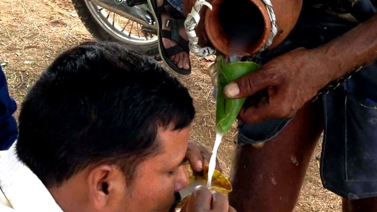 అలాగే శరీరాన్ని హైడ్రేట్‌గా ఉంచుతుందంట,  క్యాన్సర్‌కు చెక్ పెట్టడంలో ఇది కీలక పాత్ర పోషించడమే కాకుండా, డయేరియా, టైఫాయిడ్ వంటి వ్యాధులకు యాంటి బయోటిక్‌గా తాటికల్లు పనిచేస్తుందంటున్నారు వైద్యులు.