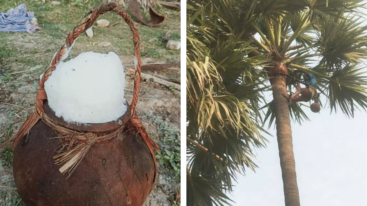 తీసుకున్న ఆహారం జీర్ణం కాకపోవడం, మలబద్దకం, అల్సర్ వంటి సమస్యలు, ఉదర సంబంధ సమస్యలతో బాధపడే వారు  ప్రతి రోజూ ఉదయం పరగడుపున తాటి కల్లు తాగడం వలన కల్లులో ఉండే ఔషధ గుణాలు కడుపును క్లీన్ చేసి సమస్యల నుంచి ఉపశమనం కలిగేలా చేస్తుందంట. అందుకే ఈ తాటికల్లుకు తెలంగాణాలో ఫుల్ డిమాండ్ ఉంటుంది అంటున్నారు నిపుణులు.