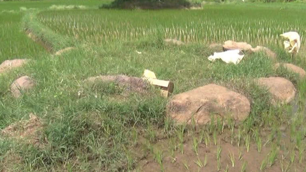 Telangana: పొలం పనులకు వెళ్లిన రైతులు తవ్వకాలు జరపగా.. కనిపించినవి చూడగా..