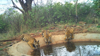 AP News: మాజీ ఎమ్మెల్యే వల్లభనేని వంశీ అరెస్ట్.. విజయవాడకు తరలింపు..