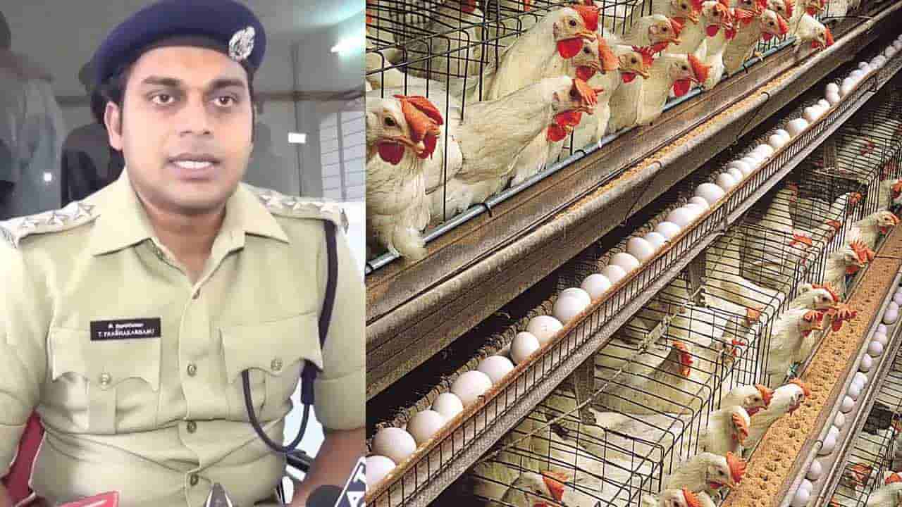 Andhra Pradesh: తిరుమల డీఎస్పీ కోళ్ల పెంపకం.. కట్ చేస్తే.. వేటుకు రంగం సిద్ధం
