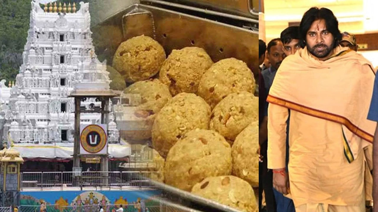 Pawan Kalyan: భక్తుల మనోభావాలు కాపాడాలన్నదే నా ఆవేదన.. పవన్ కల్యాణ్ కీలక వ్యాఖ్యలు..