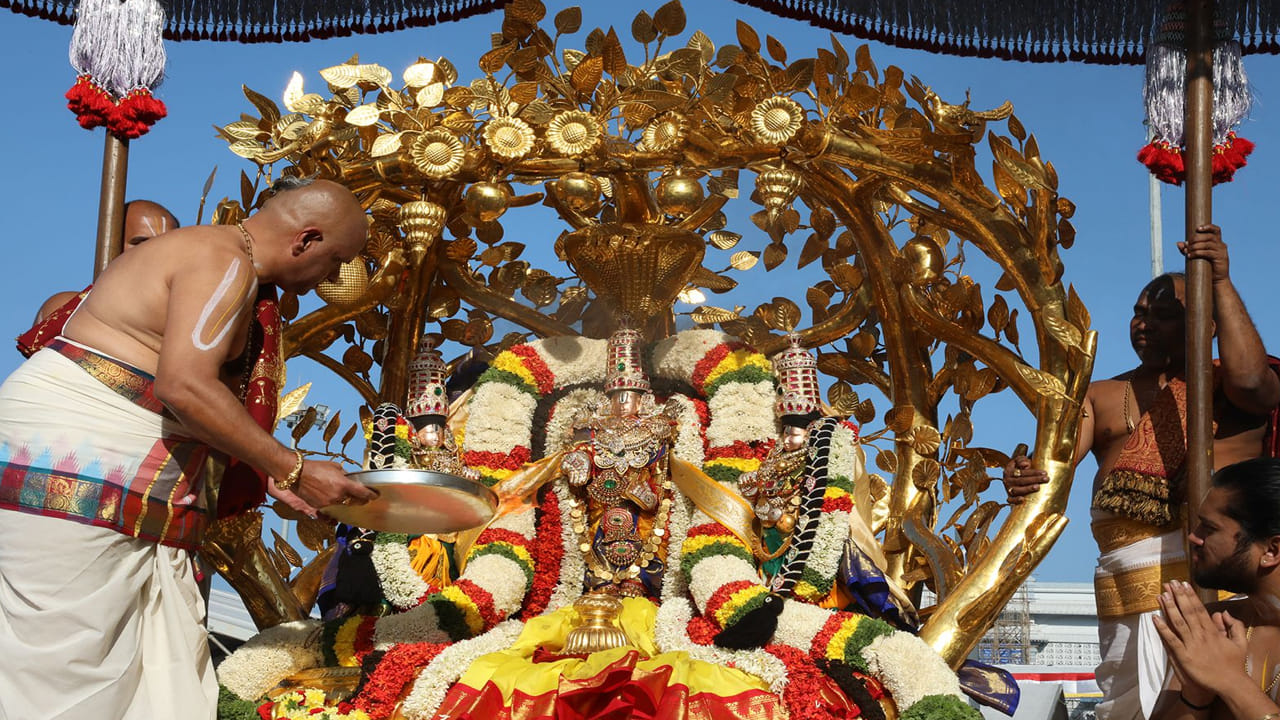 కల్పవృక్ష వాహనంలో పాల్గొన్న టీటీడీ చైర్మన్ బీఆర్ నాయుడు,  పాలకమండలి సభ్యులు, టిటిడి అధికారుల ముందు టీటీడీ చేపట్టిన ఏర్పాట్లపై భక్తులు నుంచి సంతృప్తి వ్యక్తం అయింది. నాలుగు మాడ వీధుల్లో భక్తులు సౌకర్యార్థం  టిటిడి  అధికారులు, సిబ్బంది,  పోలీసులు, జిల్లా యంత్రాంగం, శ్రీవారి సేవకులు  విశేష సేవలు అందించారనీ చైర్మన్ బి ఆర్ నాయుడు హర్షం వ్యక్త చేశారు.
గ్యాలరీలలోకి అన్న ప్రసాదాలు , తాగునీరు, పాలు, మజ్జిగ, బాదం పాలు, శెనగలు క్రమం తప్పకుండా అందించారన్న ఫీడ్ బ్యాక్ భక్తుల నుంచి అందింది. 