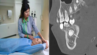 Viral Video: సార్ టిప్‌ టాప్‌గా విగ్‌తో ఎయిర్‌పోర్ట్‌కి వచ్చారు.. తేడా అనిపించి.. చెక్ చేయగా…