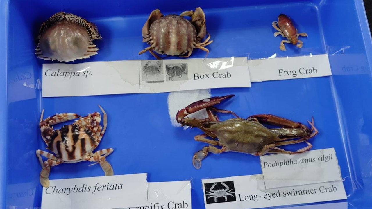 గతంలో ఎన్నడూ చూడని విధమైన చేపలు సముద్ర జీవుల ప్రదర్శనతో విద్యార్థులు క్యూ కట్టారు. ఆసక్తిగా సముద్ర జీవులను తిలకించడమే కాకుండా వాటికోసం శాస్త్రవేత్తలను అడిగి  విజ్ఞానాన్ని పెంచుకున్నారు. ఒకే చోట విభిన్న రకాల సముద్ర చేపలు, జీవులు, మొక్కలు కనిపించడంతో ఒక కొత్త ఎక్స్పీరియన్స్ విద్యార్థులకు కలిగింది.