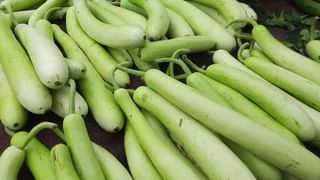 Health Tips: తిన్న తర్వాత ఈ 5 మినట్ రూల్ పాటించండి.. షుగర్ జన్మలో రాదు..