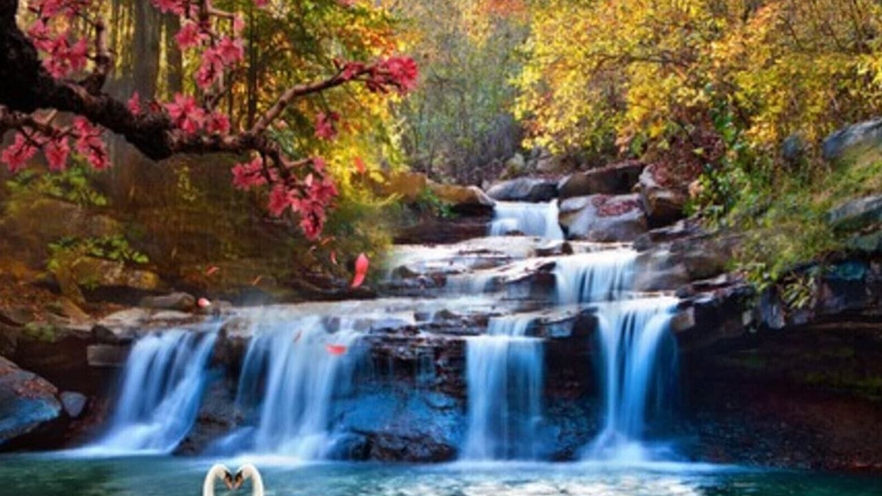 ఇంటి గోడలపై ప్రశాంతతను కలిగించే బొమ్మలను ఉంచాలి. ప్రకృతి దృశ్యాలు, పుష్పాలు, పవిత్ర నదుల చిత్రాలు శుభప్రదంగా ఉంటాయి. అయితే యుద్ధ దృశ్యాలు, హింసాత్మక చిత్రాలు ఇంట్లో ఉంచకూడదు. ఇవి ఇంట్లో ప్రతికూల శక్తిని పెంచి కుటుంబ సభ్యుల్లో విభేదాలు కలిగించవచ్చు.