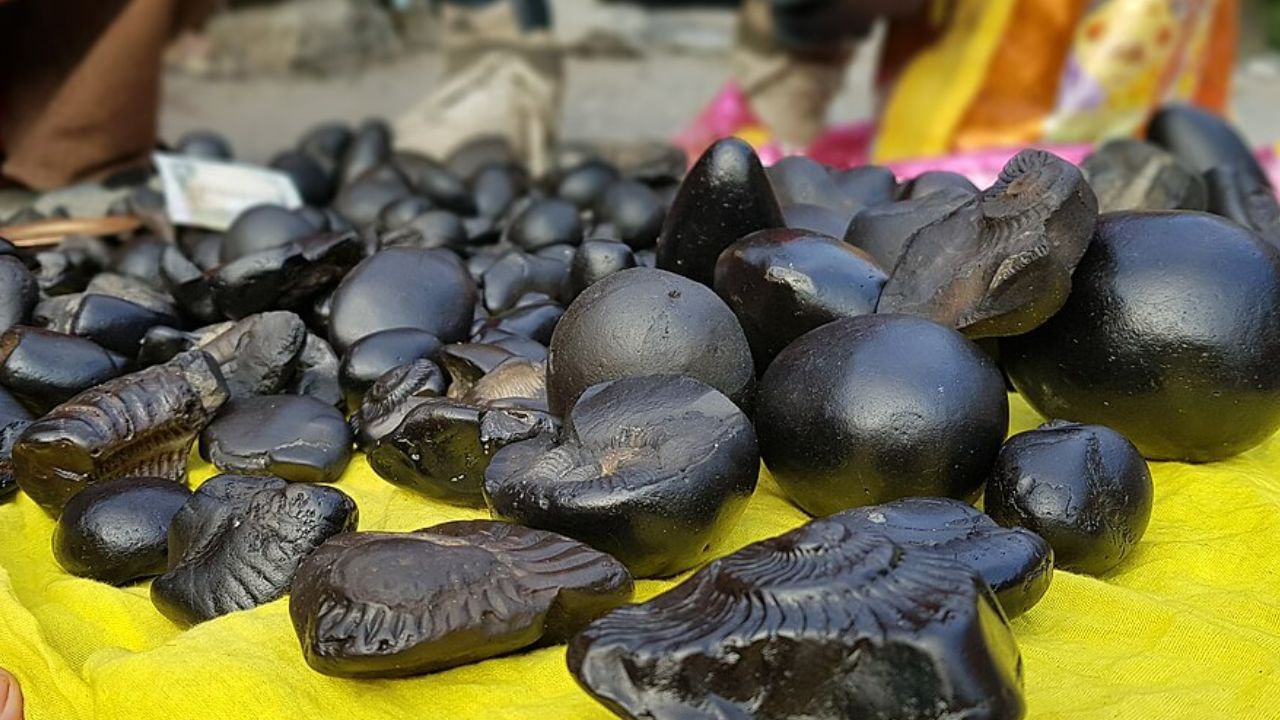 శాలిగ్రామాన్ని పవిత్రమైనదిగా భావిస్తారు. శాలిగ్రామం విష్ణువుకు చిహ్నం. అందుకే విష్ణువు పూజలో శాలిగ్రామానికి ప్రత్యేక ప్రాధాన్యత ఇస్తారు. ఏ ఇంట్లో అయితే శాలిగ్రామం ఉంటుందో అక్కడ సుఖసంతోషాలు వస్తాయి. కానీ దీనిని నేలపై ఉంచడం వల్ల నష్టం కలుగుతుంది. శాలిగ్రామాన్ని ఎప్పుడూ ఖాళీ నేలపై ఉంచకూడదు.