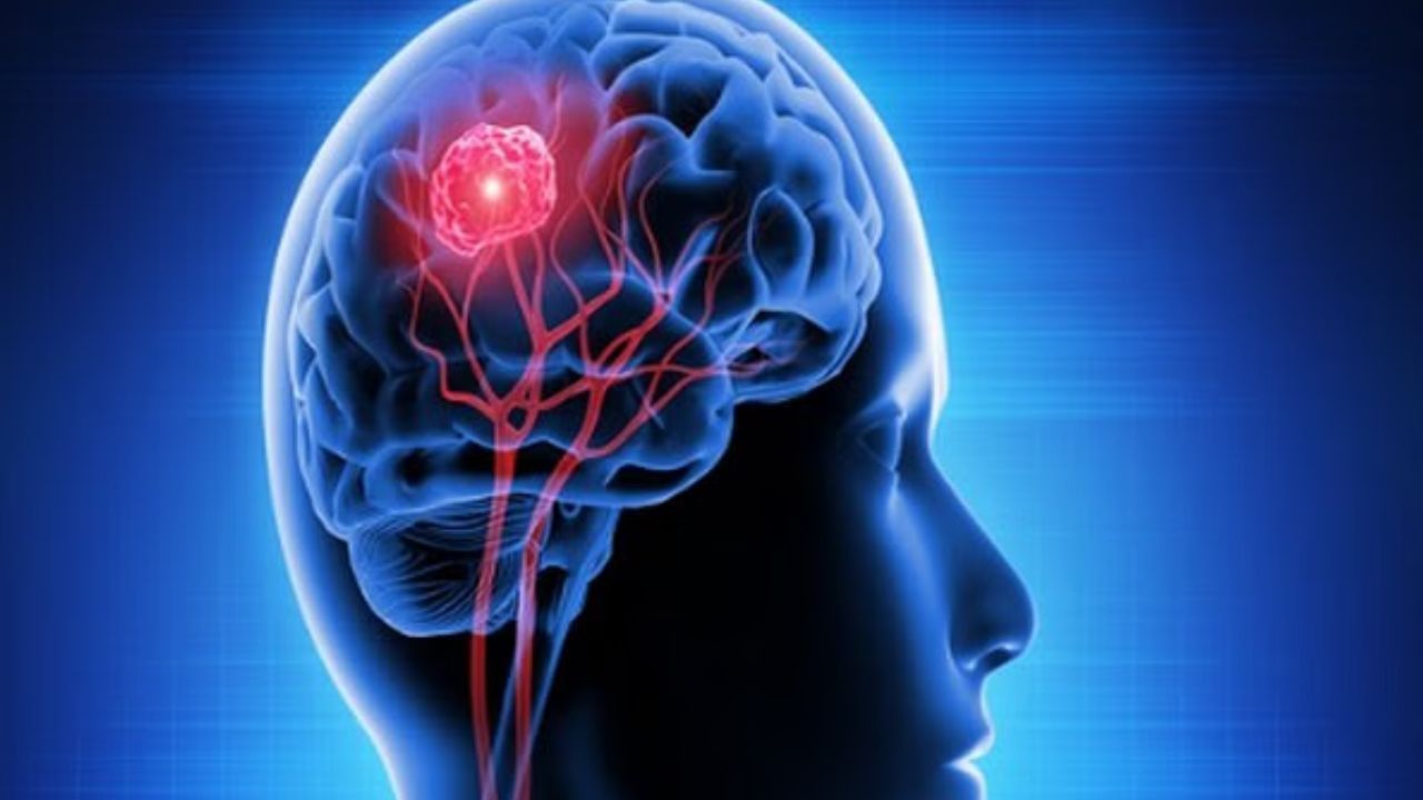 ఏదైనా విషయం నేర్చుకునేటప్పుడు వీలైనన్ని ఎక్కువ ఇంద్రియాలను ఉపయోగించండి. చదివేటప్పుడు, వినేటప్పుడు, చూసేటప్పుడు, రుచి చూసేటప్పుడు, వాసన చూసేటప్పుడు ఎక్కువ ఇంద్రియాలను ఉపయోగించడం వల్ల మెదడులోని ఎక్కువ భాగాలు ఉత్తేజితమవుతాయి. పైగా సమాచారం కూడా బాగా గుర్తుంటుంది.