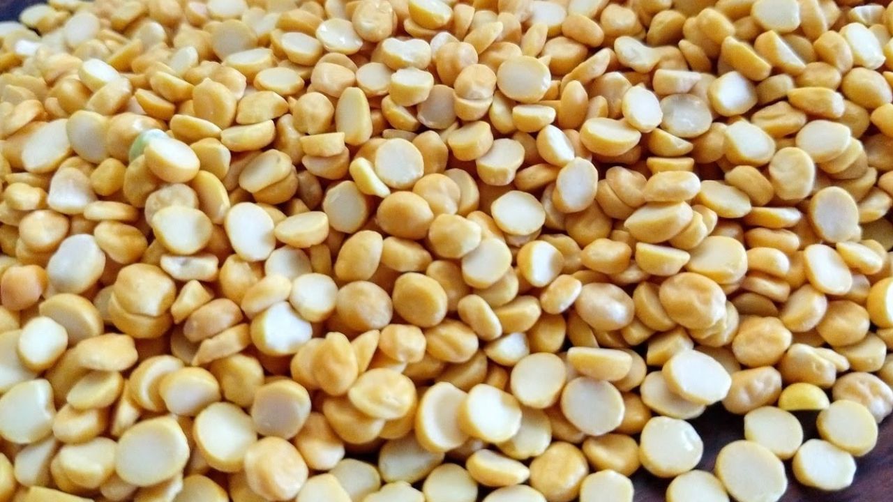 శనగ పప్పును భారతీయ వంటకాలలో తరచుగా ఉపయోగిస్తారు. 100 గ్రాముల శనగ పప్పుతో చేసిన వంటకాల్లో 38 గ్రాముల ప్రోటీన్ ఉంటుంది. ఇది జీర్ణక్రియకు, గుండె ఆరోగ్యానికి చాలా మంచిది. శనగ పప్పును పప్పు ఫ్రై వంటి వంటకాలలో లేదా చనా దాల్ నమ్‌కీన్ వంటి స్నాక్స్‌లో ఉపయోగిస్తారు.