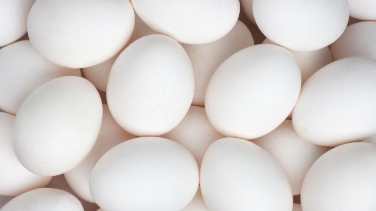 గుడ్లు కొలిన్ అనే పోషకాన్ని కలిగి ఉంటాయి. ఇది అసిటైల్కోలిన్‌గా మారుతుంది. ఇది మెదడు కణాలు, ఇతర అవయవాల మధ్య సంభాషణకు అవసరమైనది.