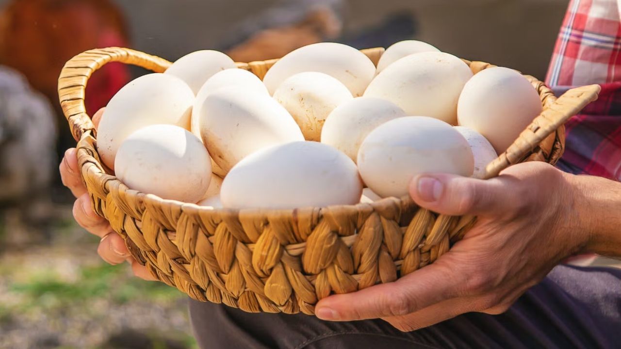 గుడ్లు ఐరన్ పాత్రల్లో వండినప్పుడు అవి పాత్రకు అతుక్కుపోతాయి. ఇది శుభ్రం చేయడానికి కష్టం అవ్వటమే కాకుండా వంటకం తినడానికి కూడా ఇబ్బంది కలిగించవచ్చు. కాబట్టి గుడ్లను ఐరన్ పాత్రల్లో వండకూడదు. 