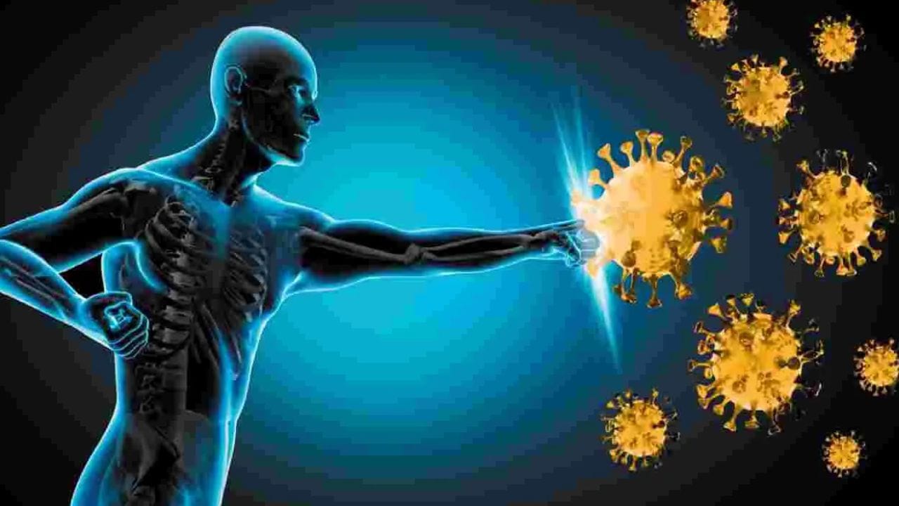 వాతావరణ మార్పుల కారణంగా శరీరానికి రోగనిరోధక శక్తి తగ్గే ప్రమాదం ఉంటుంది. బిల్వ పత్రాల్లో యాంటీఆక్సిడెంట్లు, విటమిన్ C పుష్కలంగా ఉండటం వల్ల శరీర రక్షణ వ్యవస్థను బలంగా ఉంచుతాయి. ప్రతిరోజూ బిల్వ ఆకులను తీసుకోవడం ద్వారా జలుబు, దగ్గు, వైరల్ ఇన్ఫెక్షన్ల నుంచి రక్షణ పొందవచ్చు.