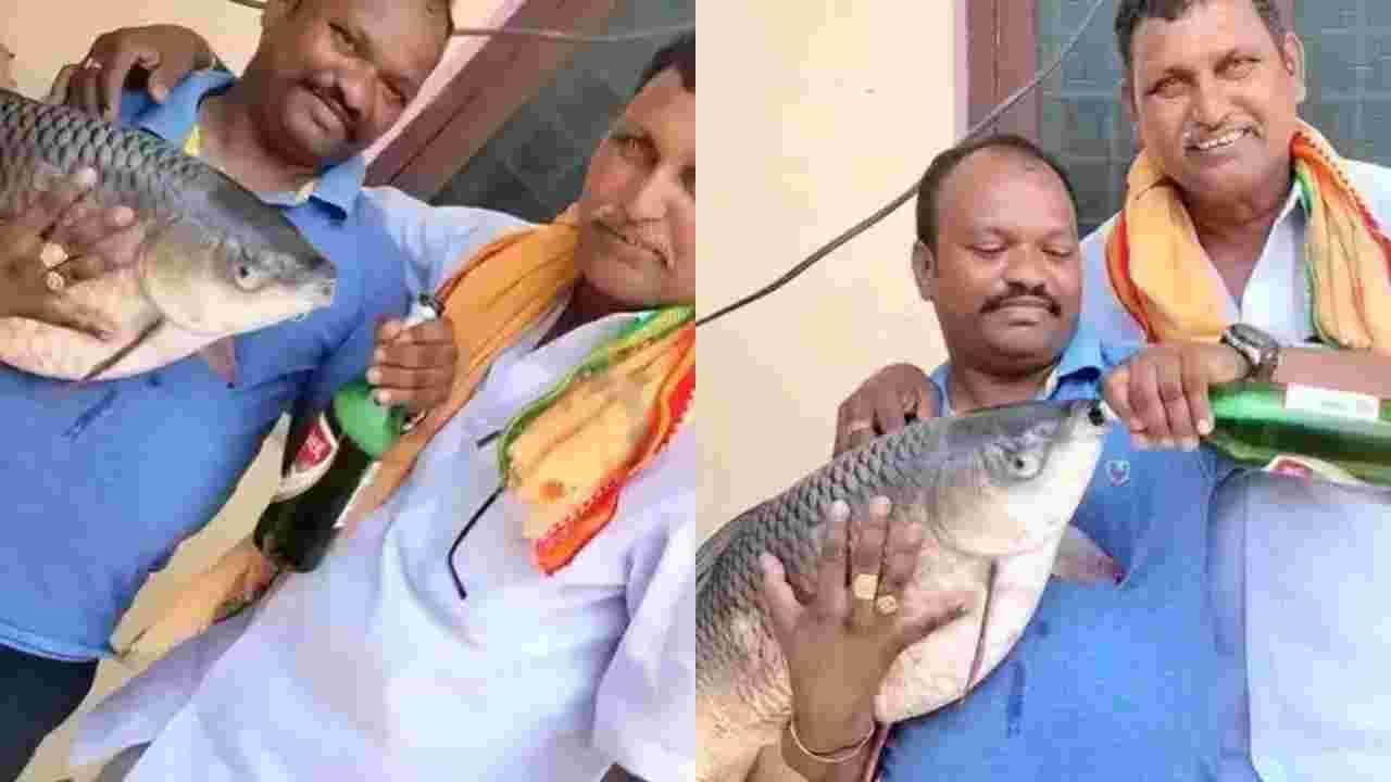 Viral Video: మందెక్కువైందా.. మతి పోయిందా.. ఏకంగా చేపకే బీరు తాగించేశాడు