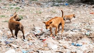 Planetary Parade: ఆకాశంలో మహాద్భుత దృశ్యం.. ఇవాళ ఒకే సరళ రేఖపై 7 గ్రహాలు.. ఏ టైమ్‌లో చూడొచ్చంటే?