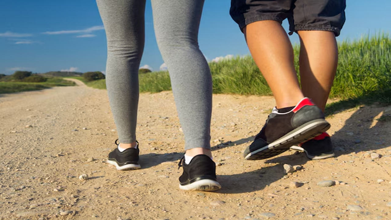 నడక శరీరానికే కాదు మానసిక ఆరోగ్యానికి కూడా మంచిది. ఇది ఒత్తిడి, నిరాశను తగ్గించడంలో సహాయపడుతుంది. మానసిక స్థితిని మెరుగుపరుస్తుంది. రోజూ వాకింగ్ చేయడం వల్ల నిద్ర నాణ్యత పెరుగుతుంది. రోజూ వాకింగ్ చేయడం వల్ల ఎముకలు దృఢంగా ఉండి కీళ్ల నొప్పులు తగ్గుతాయి. ఇది ఆస్టియోపోరోసిస్, ఆర్థరైటిస్ వంటి సమస్యలను దూరంగా ఉంచడంలో సహాయపడుతుంది.