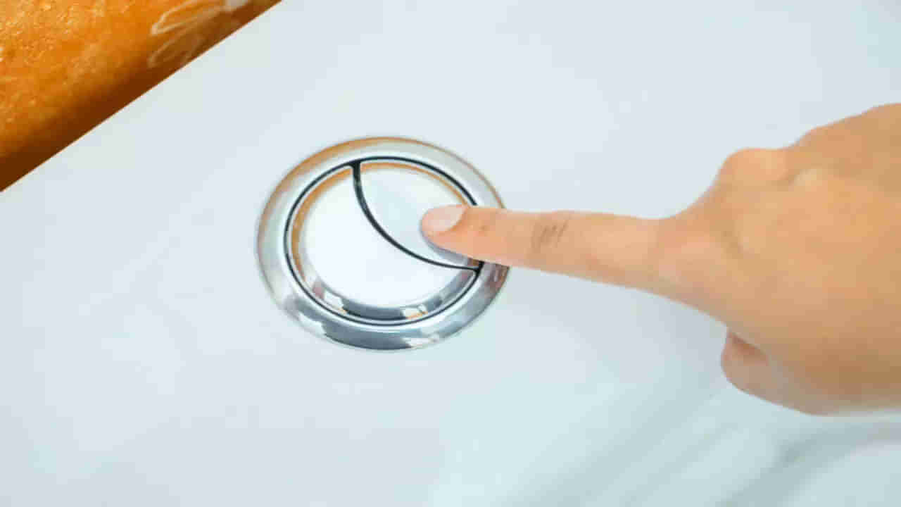 Western Toilet: టాయిలెట్ ఫ్లెష్‌పై రెండు బటన్స్ ఎందుకు.. తెలుసుకోకుంటే మీకే నష్టం..