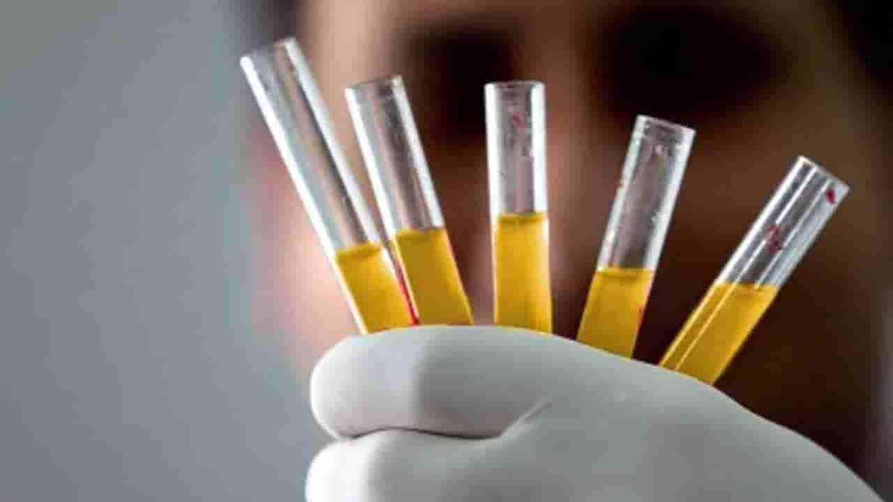 World Rarest Blood Group: ప్రపంచంలో అత్యంత అరుదైన బ్లడ్గ్రూప్ ఏదో తెలుసా..? చుక్క రక్తం బంగారం కంటే ఖరీదు..!