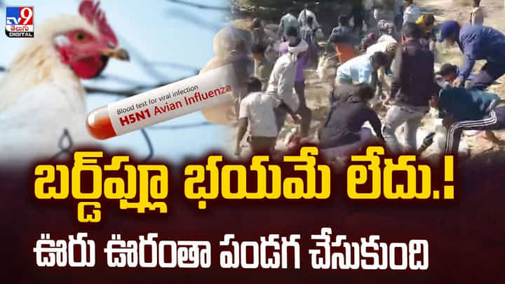 బర్డ్ఫ్లూ భయమే లేదు.. అక్కడ ఊరు ఊరంతా పండగే..వీడియో బర్డ్ఫ్లూ భయమే లేదు.. అక్కడ ఊరు ఊరంతా పండగే..వీడియో