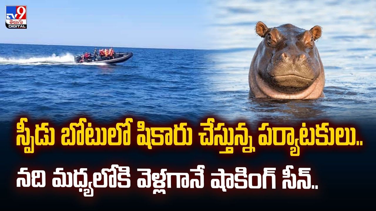 స్పీడ్ బోటులో షికారు చేస్తున్న పర్యాటకులు..నది మధ్యలోకి వెళ్లగానే..
