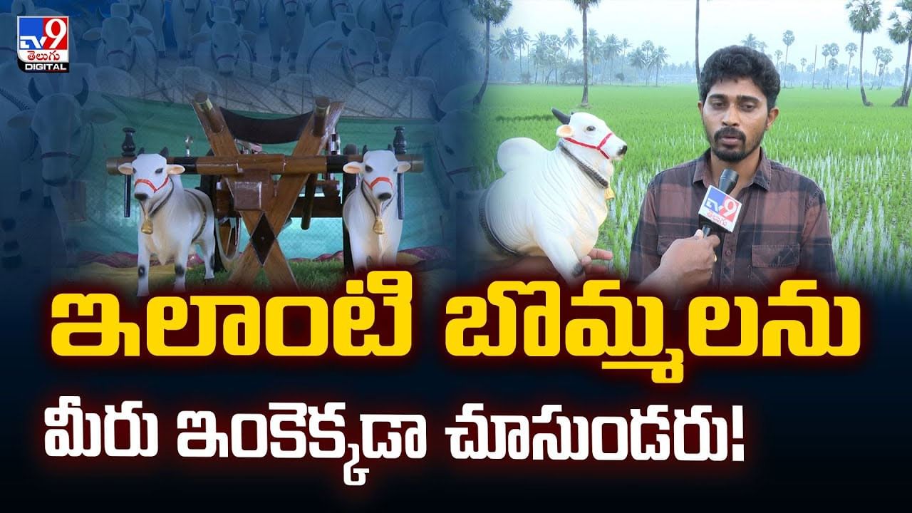 ఇలాంటి బొమ్మలను.. మీరు ఇంకెక్కడా చూసుండరు!