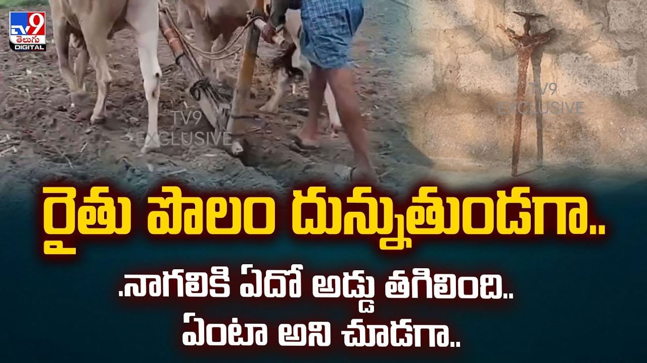 రైతు పొలం దున్నుతుండగా..నాగలికి ఏదో అడ్డు తగిలింది.. ఏంటా అని చూడగా వీడియో