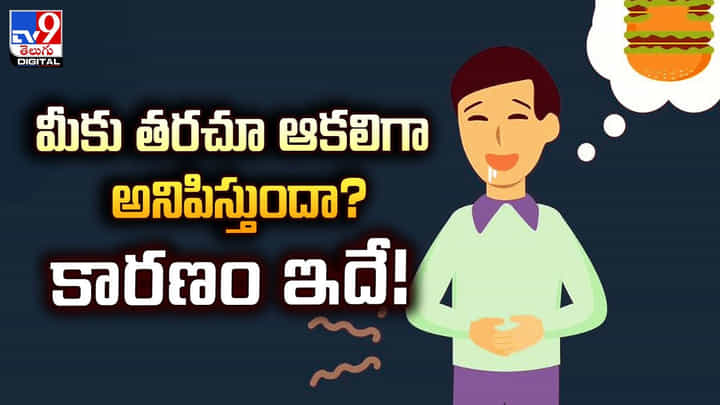 మీకు తరచూ ఆకలిగా అనిపిస్తుందా? కారణం ఇదే! మీకు తరచూ ఆకలిగా అనిపిస్తుందా? కారణం ఇదే!