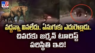 బావిలో పడిన భర్త… అతడి భార్య చేసిన పనికి…!వీడియో
