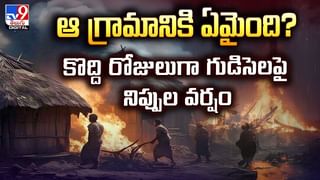 సింహాన్ని రారాజు అని ఇందుకే అన్నారేమో.. వీడియో