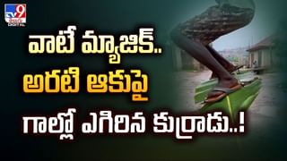 ఆన్‌లైన్‌లో ల్యాప్‌టాప్ ఆర్డర్.. వచ్చిన పార్సిల్ ఓపెన్ చేసి డాక్టర్‌ షాక్..!