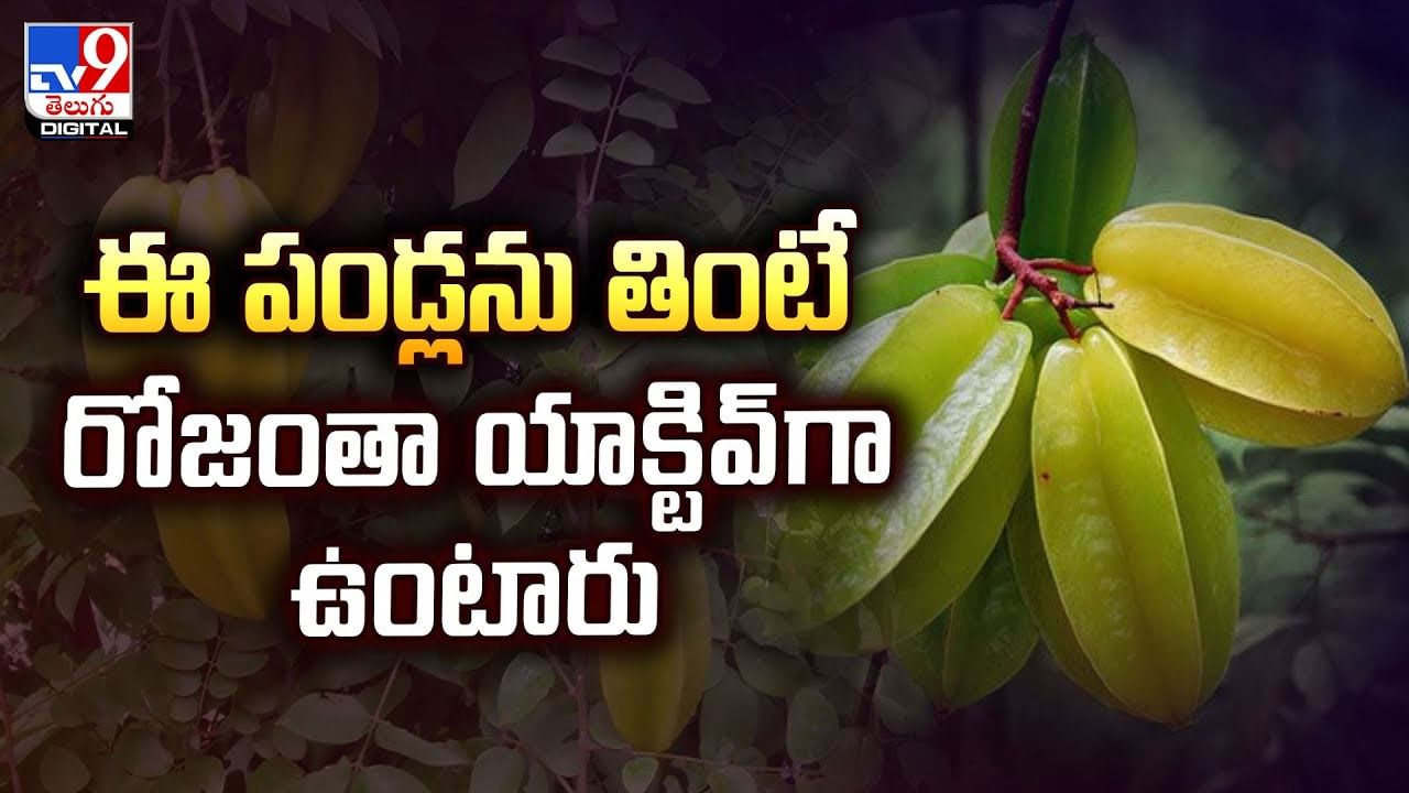 స్టార్‌ ఫ్రూట్స్‌ తిని చూడండి.. నమ్మలేని లాభాలు వీడియో