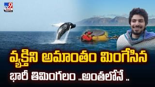 ఓర్నీ..బస్సులో ఇలా కూడా ప్రయాణించొచ్చా!వీడియో