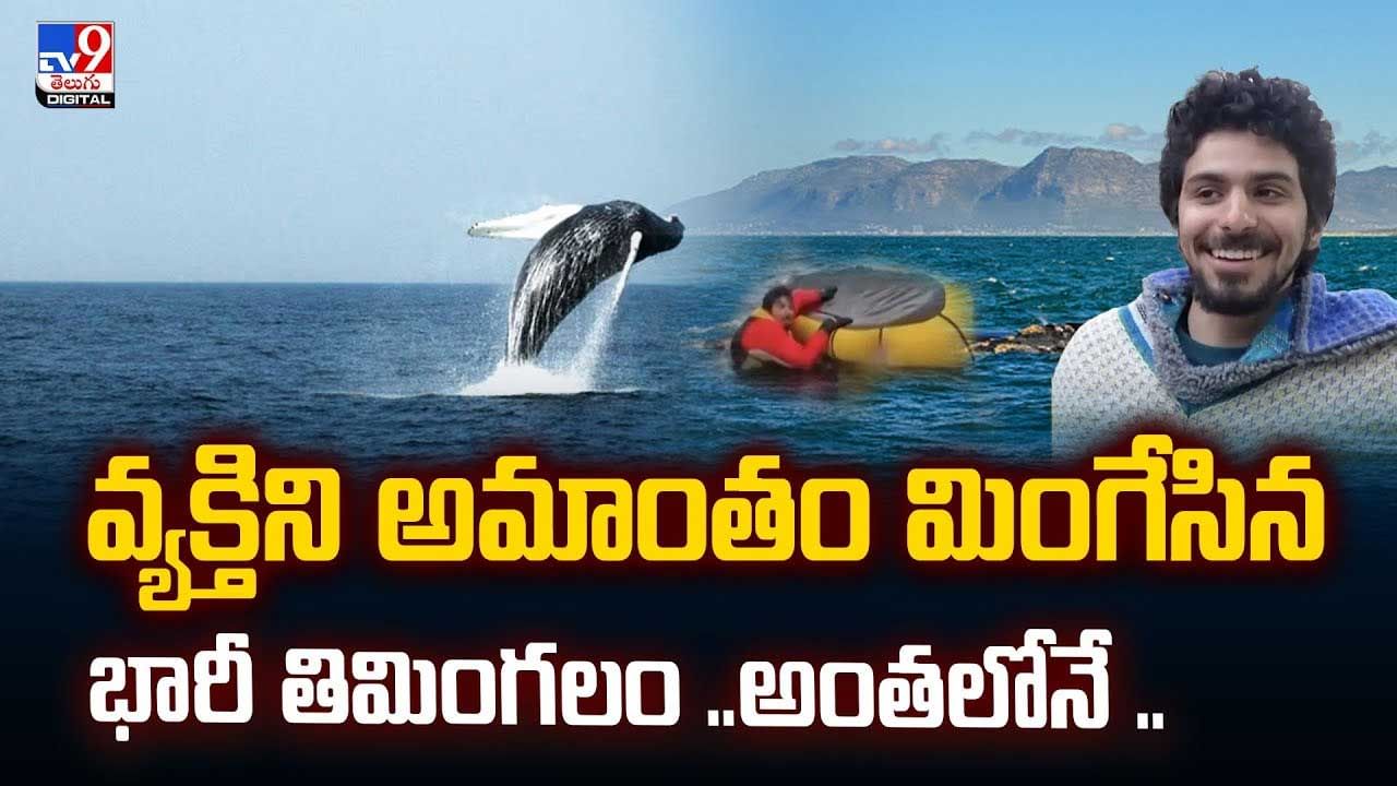 వ్యక్తిని అమాంతం మింగేసిన భారీ తిమింగలం ..అంతలోనే ..