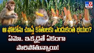 నాటు నాటు పాటకు అఖిల్ స్టెప్పులు.. చివరిలో సూపర్‌ ట్విస్ట్..వీడియో