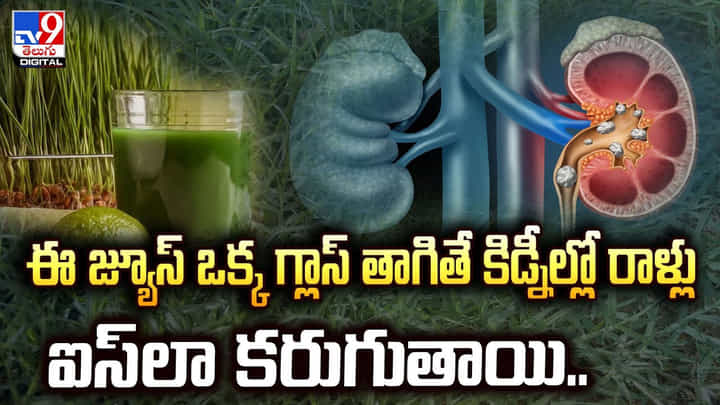 ఈ జ్యూస్ ఒక్క గ్లాస్ తాగితే కిడ్నీల్లో రాళ్లు ఐస్లా కరుగుతాయి..వీడియో ఈ జ్యూస్ ఒక్క గ్లాస్ తాగితే కిడ్నీల్లో రాళ్లు ఐస్లా కరుగుతాయి..వీడియో