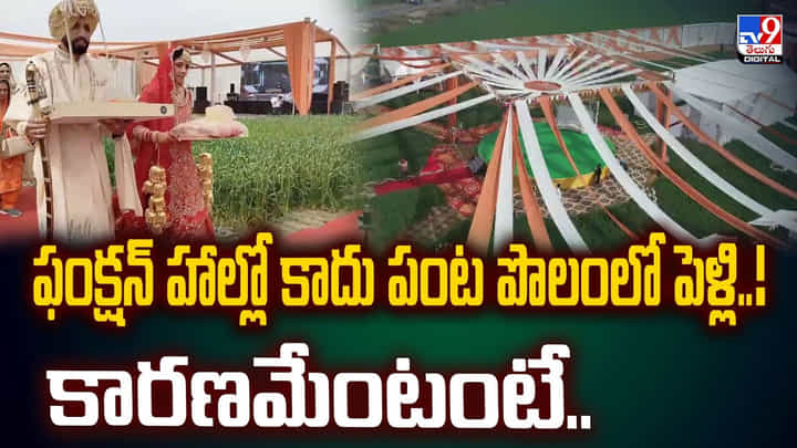 ఫంక్షన్ హాల్లో కాదు పంట పొలంలో పెళ్లి.. కారణమేంటంటే.. వీడియో ఫంక్షన్ హాల్లో కాదు పంట పొలంలో పెళ్లి.. కారణమేంటంటే.. వీడియో