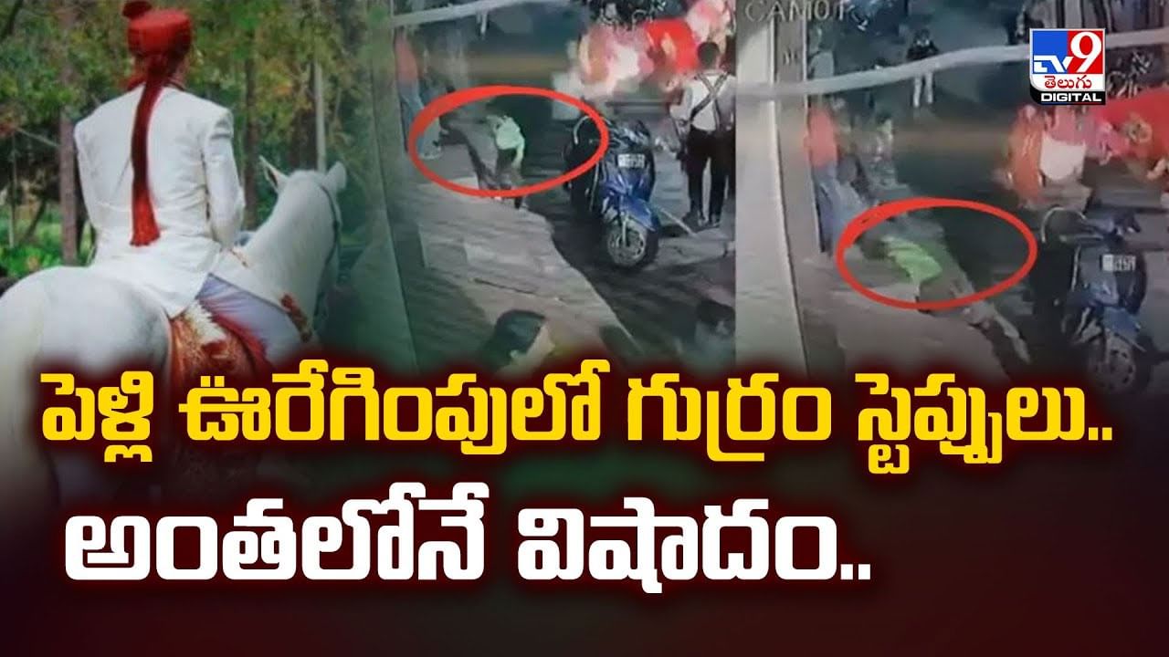 పెళ్లి ఊరేగింపులో గుర్రం స్టెప్పులు.. అంతలోనే విషాదం.. వీడియో