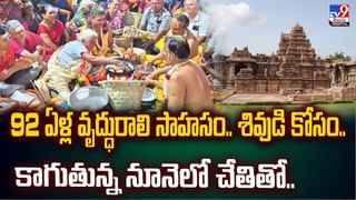 హల్దీ ఫంక్షన్‌లో కోతి హల్‌చల్‌.. ఏం చేసిందో చూడండి
