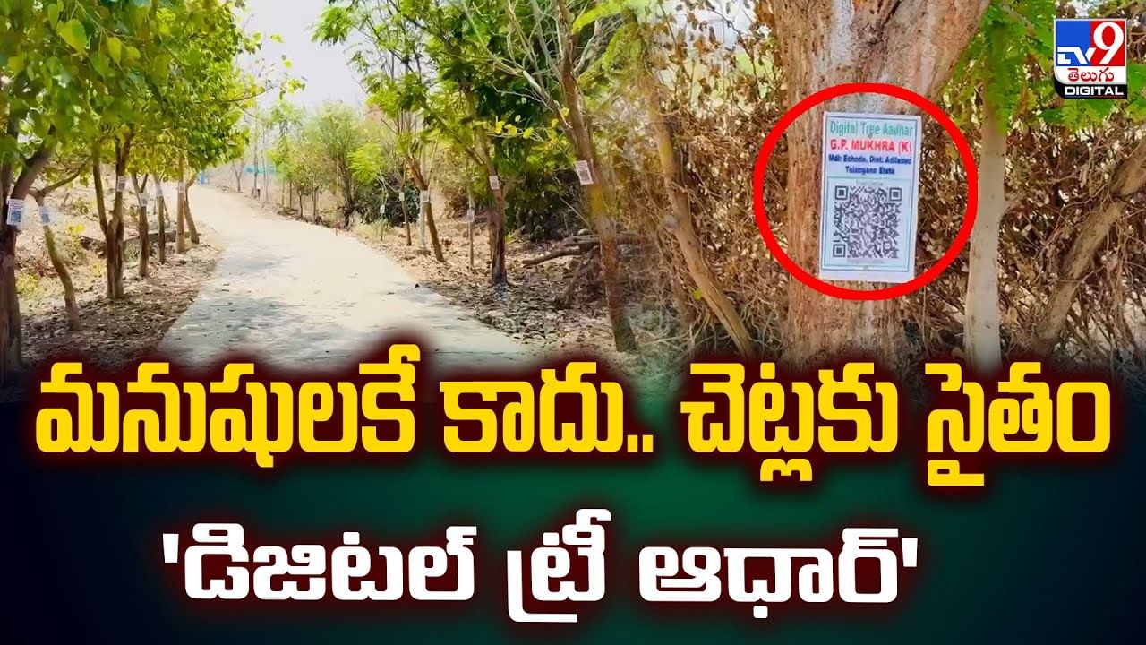 మనుషులకే కాదు.. చెట్లకు సైతం'డిజిటల్ ట్రీ ఆధార్' వీడియో
