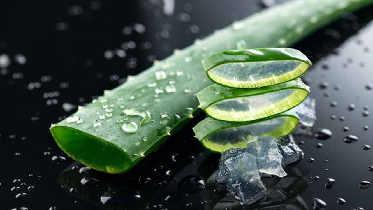 Side Effects of Aloe Vera: మంచిదని కలబంద తెగ వాడేస్తున్నారా? దీంతో లాభాలేకాదు అనర్ధాలూ మెండే..