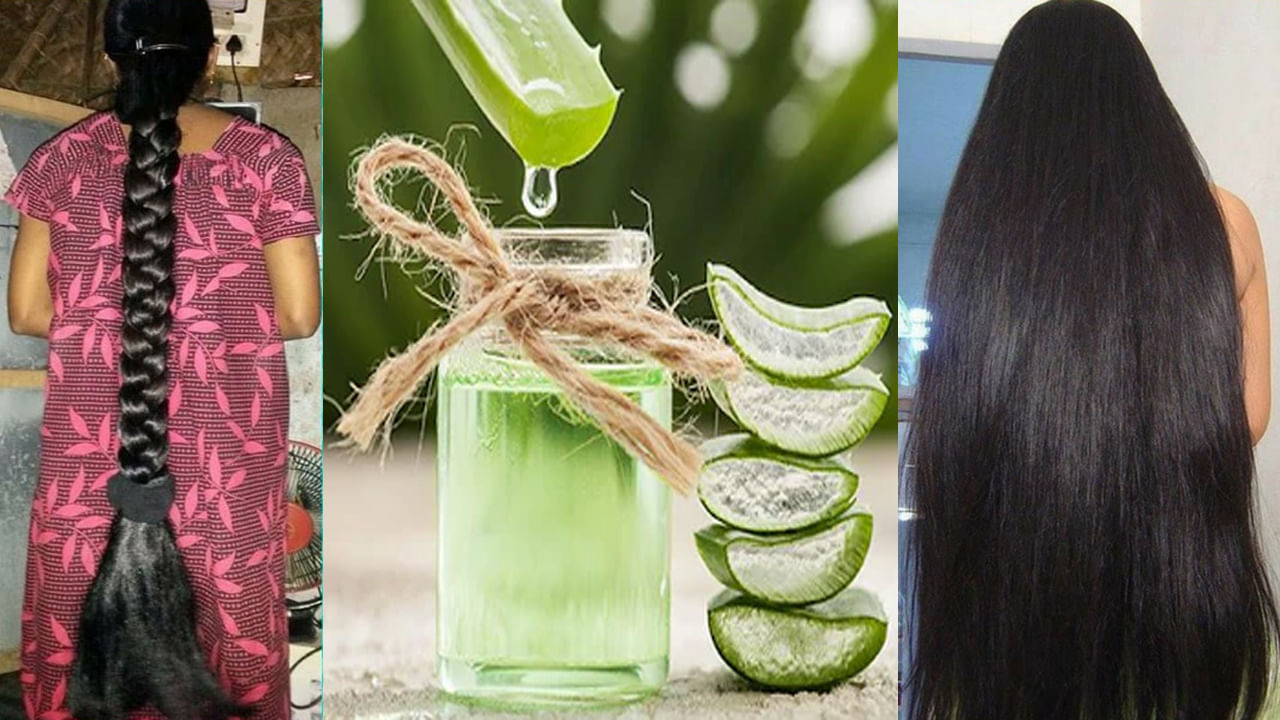 అలోవెరా మార్కెట్లో సరసమైన ధరలకు లభించే ఒక నేచరల్ ఔషధం. అంతేకాదు ఇది ఇంటిలో కూడా పెరుగుతుంది. కలబంద ఆరోగ్యానికి , చర్మానికి చాలా ఉపయోగకరంగా ఉంటుంది. కలబంద గుజ్జు , రసం వలన అనేక ప్రయోజనాలున్నాయి. గాయాలను నయం చేయడం మాత్రమే కాదు ఆరోగ్యకరమైన చర్మం, జుట్టు కోసం కూడా దీనిని ఉపయోగించవచ్చు. కలబందలో అనేక శక్తివంతమైన యాంటీఆక్సిడెంట్లు పుష్కలంగా ఉన్నాయి. ఆయుర్వేదంలో కలబందను అనేక ఔషధాలను తయారు చేయడానికి ఉపయోగిస్తున్నారు. మీరు కూడా దీనిని వివిధ రకాలుగా ఉపయోగించవచ్చు. ఈ రోజు జుట్టు, చర్మ సంబంధిత సమస్యల నివారణకు  కలబందను ఎలా ఉపయోగించాలో ఈ రోజు తెలుసుకుందాం.
