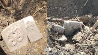 Snakes Spotted at TTD: బాబోయ్.. తిరుమల నడక మార్గంలో 3 కోడె నాగులు.. దెబ్బకు భక్తులు గజగజ!