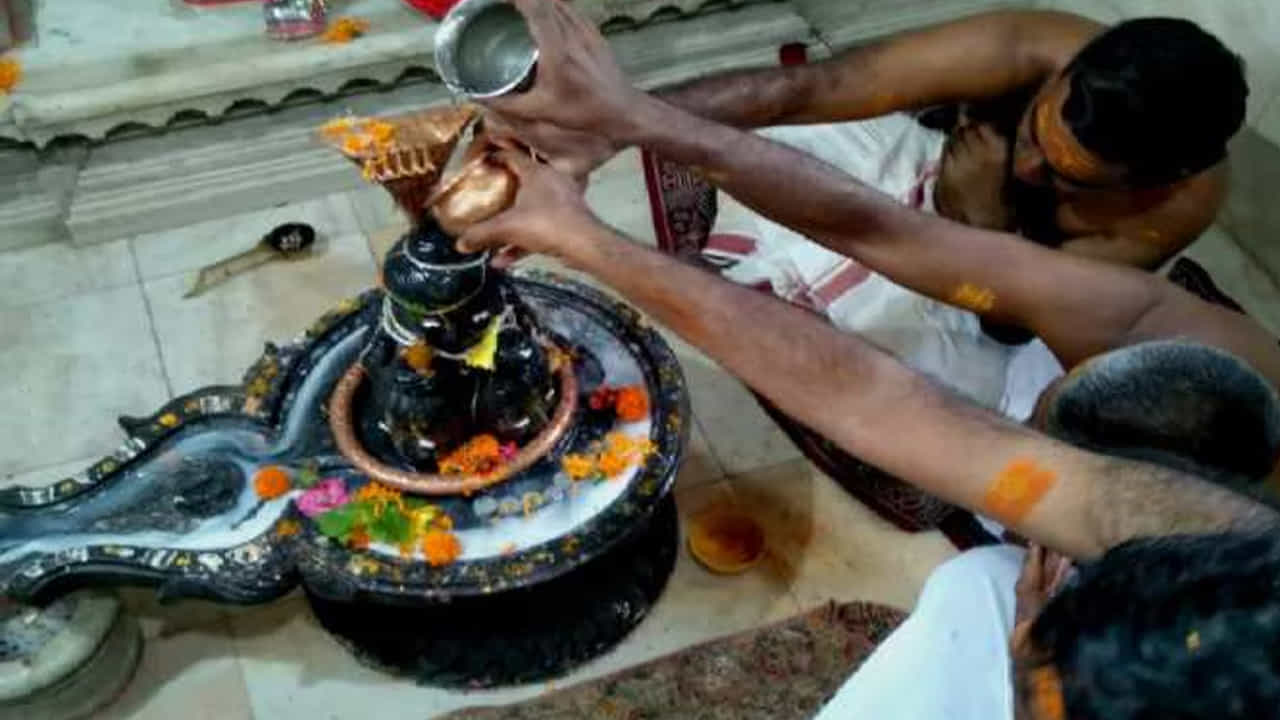 శివుడిని పూజించండి: ఎవరైనా ప్రభుత్వం కోసం ప్రయత్నిస్తుంటే.. మీ ప్రయత్నాలు ఫలించాలంటే భోలాశంకరుడి దయ ఉండాల్సిందే. శివుడిని పూజించడమే కాదు.. శివలింగానికి పాలతో అభిషేకం చేయండి. బియ్యం సమర్పించండి. ఇలా 41 రోజులు చేయడం వలన శివయ్య అనుగ్రహంతో మీ ఉద్యోగ ప్రయత్నాలు ఫలిస్తాయని జ్యోతిష్కులు చెబుతున్నారు.