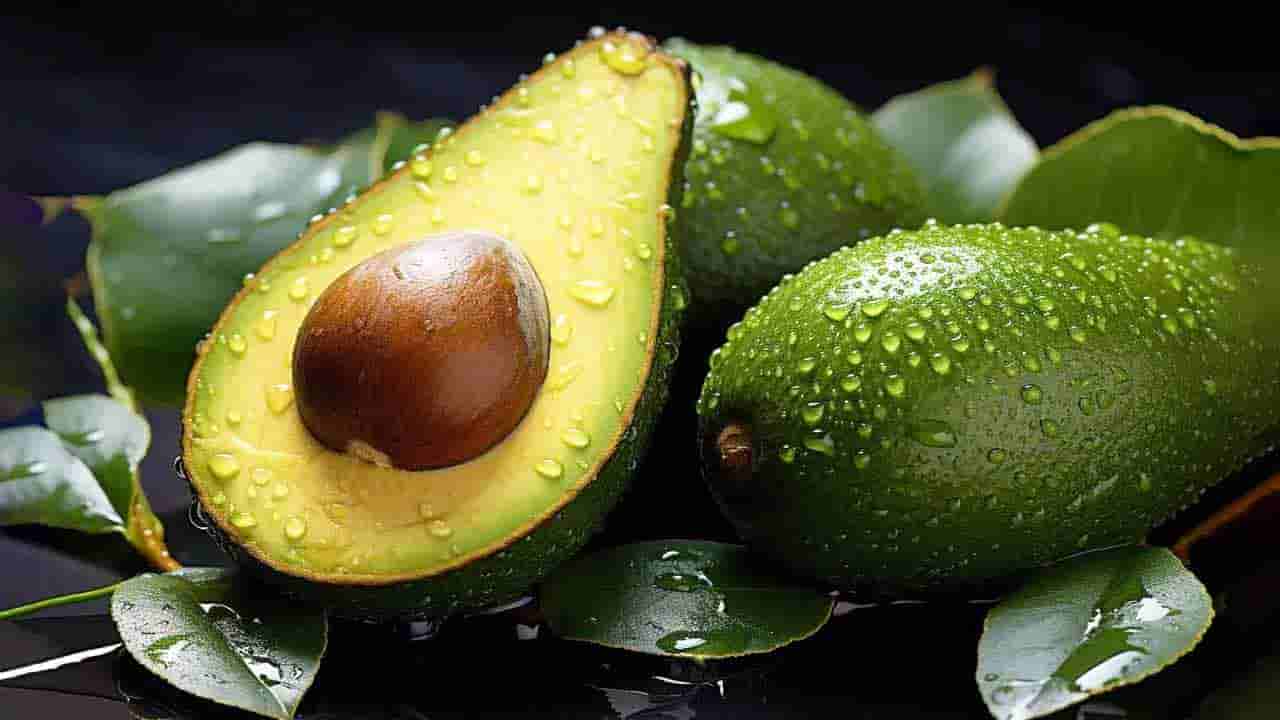Avocado: ఆరోగ్యానికి అమృతం ఈ పండు.. క్రమం తప్పకుండా తింటే రోగాలన్నీ పరార్!