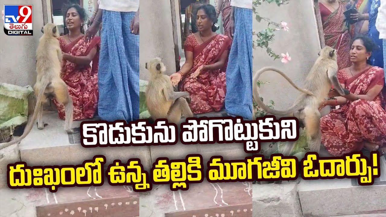 కొడుకును పోగొట్టుకుని దుఃఖంలో ఉన్న తల్లికి మూగజీవి ఓదార్పు